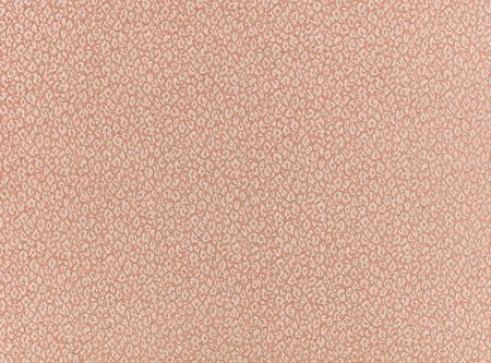 ROMO - Romo   fabrics - Kitty Powder room - 7998/02