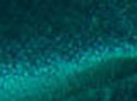 ZIMMER ROHDE - F16 - Infinity plus - 10660-666