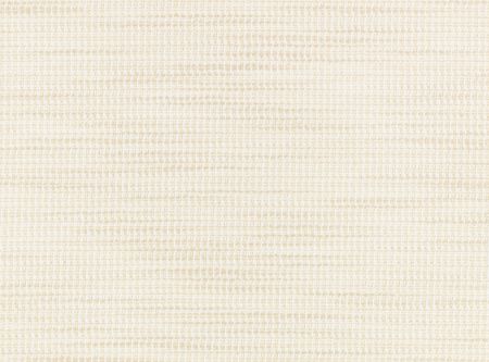 ZINC TEXTILE -  - Antheor outdoor Vellum - Z779/03