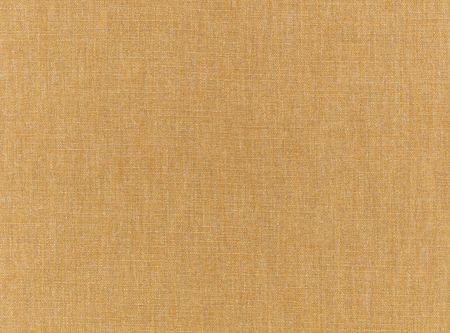 ZINC TEXTILE - Roccapina - Carallio Ochre - Z724/05