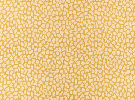 ZINC TEXTILE - Salvador - Golconda Ochre - Z730/04