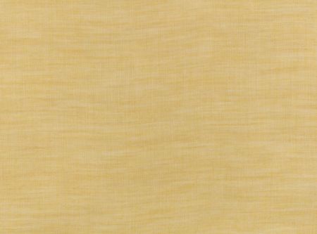 ZINC TEXTILE - Zinc textile x mhd 2 - Arun Ochre - Z661/06